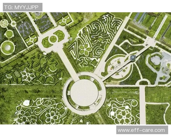 杭州极限运动队的灵活性探秘与发展现状分析